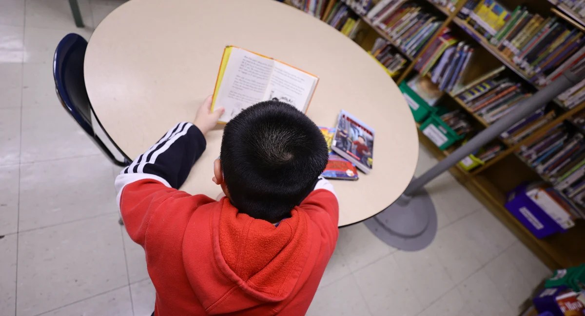 NYC Schools' Reading Scores Plunge: Are State Exams Reliable? (2026)